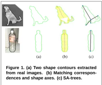 Figure 1. (a) Two shape contours extracted from real images. (b) Matching  correspon-dences and shape axes