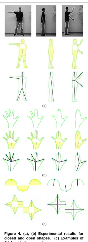 Figure 4. (a), (b) Experimental results for closed and open shapes. (c) Examples of SA-forests for open shapes.