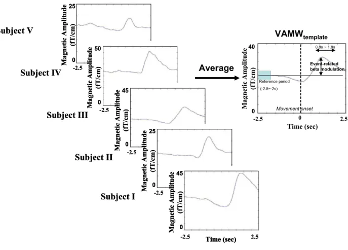 Figure 2. Creation of common temporal and spatial templates.  (a)  25 Magnetic Amplitude  0(fT/cm) -2.5                                         2.5 Time (sec)Subject V25Magnetic Amplitude 0(fT/cm) -2.5                                         2.5Time (sec)2