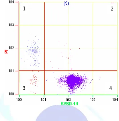 Fig. 6. Dot plots resulting from flow cytometric analyses viability of a  semen sample