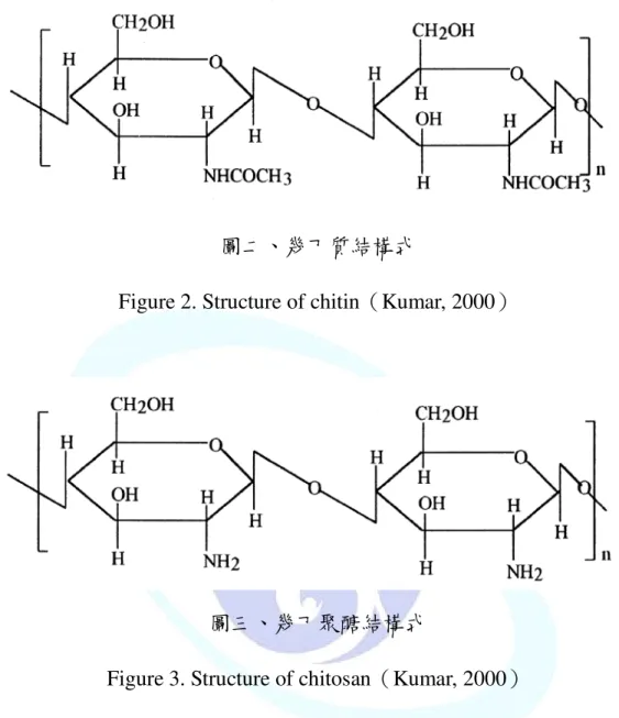 Figure 2. Structure of chitin（Kumar, 2000） 