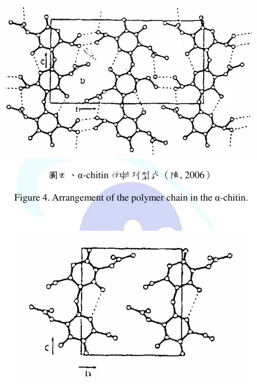 Figure 4. Arrangement of the polymer chain in the α-chitin. 