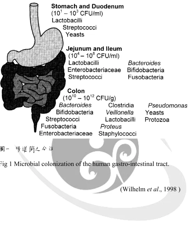 Fig 1 Microbial colonization of the human gastro-intestinal tract.
