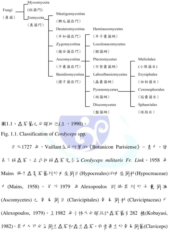 Fig. 1.1. Classification of Cordyceps spp. 