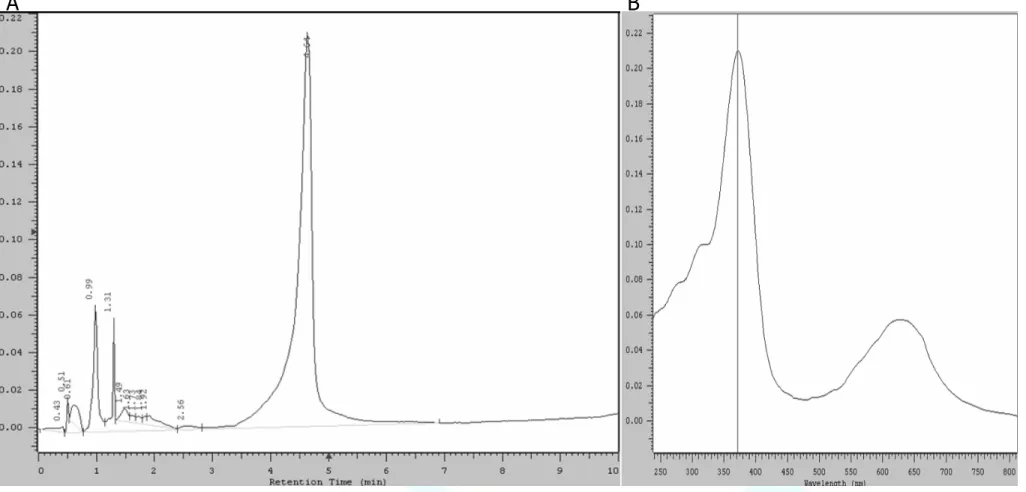 圖 3.  商業膽綠素之 HPLC 圖譜。(A)  在波長 371 nm 下測得不同滯留時間之吸光圖譜，在 RT 4.64 min  有主要的波 峰； (B)  將 RT 4.64 min 波峰以全波長 UV 掃描，發現於 371 nm 與 635 nm 各具吸光波峰，確認其為膽綠素所特有。 