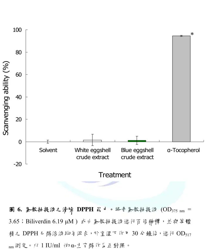 圖 6.  蛋殼抽提液之清除 DPPH 能力。將靑蛋殼抽提液 (OD 375 nm  =  3.65；Biliverdin 6.19 μM )  或白蛋殼抽提液進行百倍稀釋，並與等體 積之 DPPH 乙醇溶液均勻混合，於室溫下作用 30 分鐘後，進行 OD 517  nm 測定。以 1 IU/ml  的 α-生育醇作為正對照。  *  表示與 Solvent 組及白蛋殼抽提液組間具有極顯著差異  (p < 0.001) -20020406080100