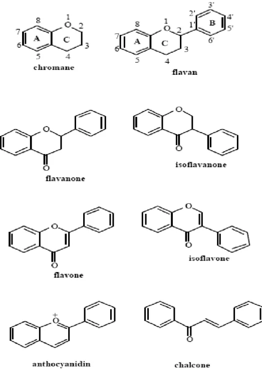 Fig. 3. Structure of basic flavonoid skeletons 