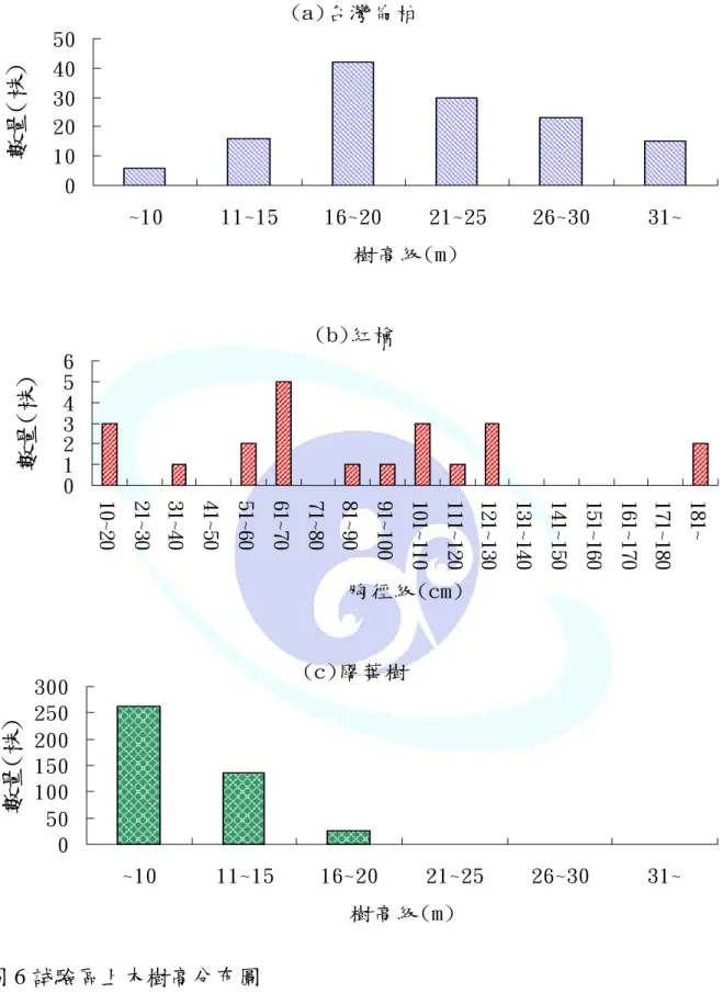 Fig. 6 The height classes distribution of canopy trees in experimental site. 