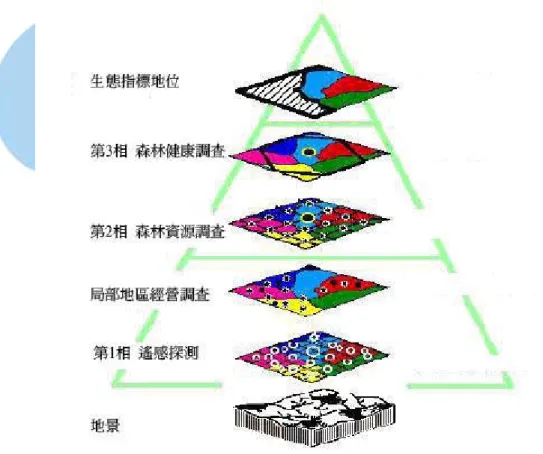 圖 1：整合後的 FIA 取樣架構(修改自 USDA Forest service) 