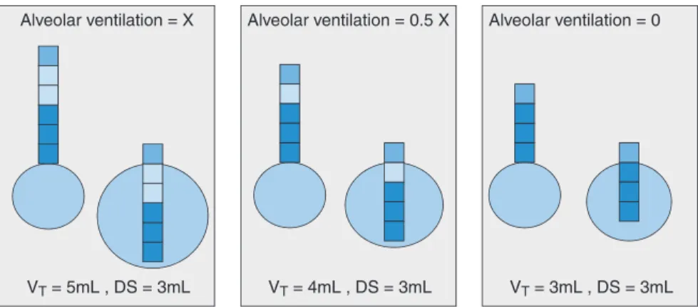 Fig. 10.3   Classical respiratory physiology teaches us that at the end of exhalation, there is exhaled gas (dark  boxes) in the large airways that will enter the lungs before any fresh gas (light boxes) can reach the lungs