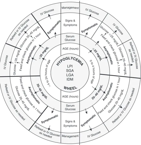 Fig. 4.1  Sugar Wheel nomogram for postanatal glucose homeostasis.