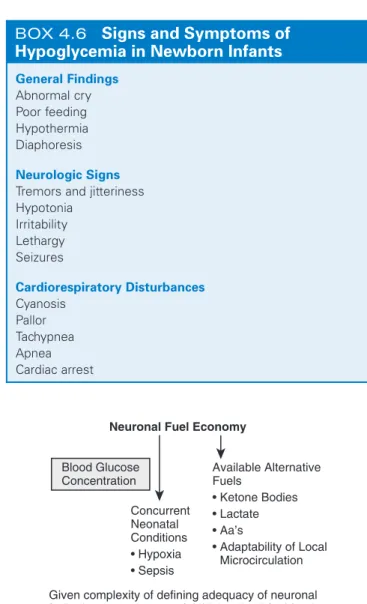 Fig.  4.8   Factors  that  play  a  role  in  energy  available  for  the  central  nervous system including blood glucose concentrations.