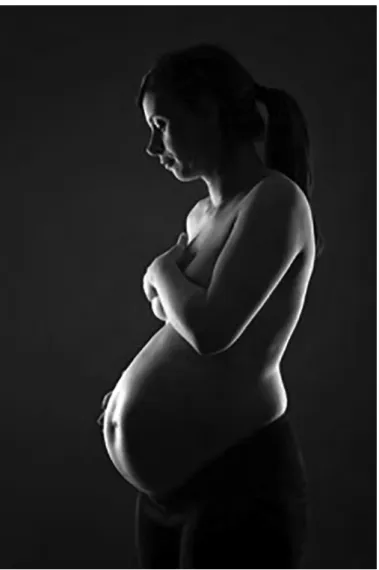 Figure 4.3  Maternal-fetal attachment