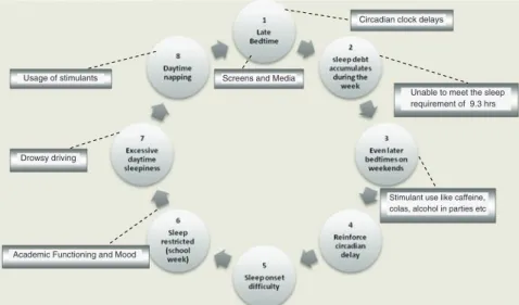 Fig. 7.1   The vicious cycle of adolescent sleep