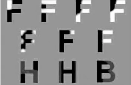 Figure 3.2 Example of a grapheme-color synesthete whose induced colors vanish when graphemes are presented at low contrast