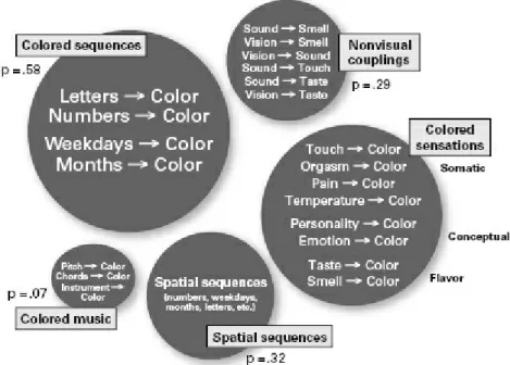 Figure 4.1 Five distinct groups of synesthesia. N = 12,127. The radius of each type is proportional to the probability of independently expressing that type