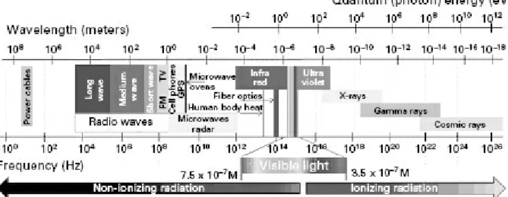 Figure 5.1 Humans are sensitive to less than a ten-trillionth slice of the universe’s