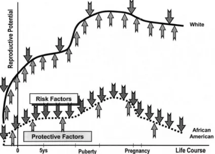 Fig. 2.2 The life-course perspective as diagrammed in Lu and Halfon (2003), reprinted with permission from Springer