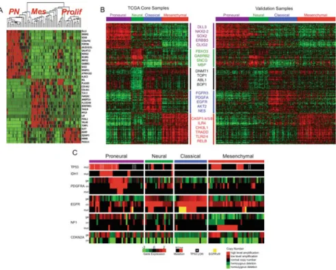 Fig. 2.1 Gene expression and integrated molecular subclassification of GBM. (a) and (b) show figures from Phillips et al