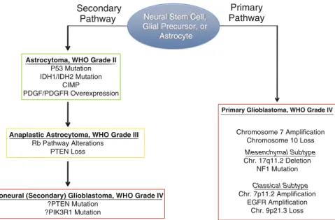 Fig. 2.2 An updated view of the development of primary and secondary glioblastoma highlighting key molecular alterations associated with specific tumor grades and/or molecular subtypes