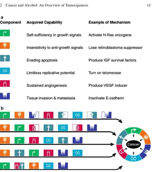 Fig. 2.6  Parallel pathways of tumorigenesis. Reprinted from Cell, 100 Hanahan D, and Weinberg  RA, The Hallmarks of Cancer, p57–70, (2000), with permission from Elsevier