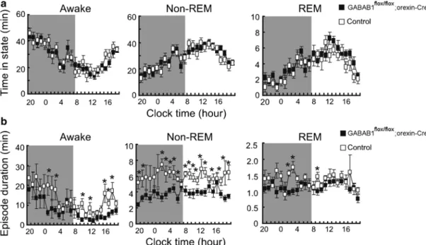 Fig. 1   GABA B1 flox/flox ; orexin-Cre mice have normal distri- distri-bution  of  sleep  and  wakefulness  but  it  is  highly   frag-mented