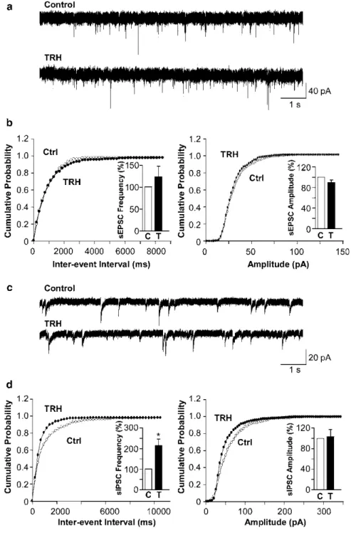 Fig. 3  TRH  increases  the  frequency  of  sIPSCs,  but  not  sEPSCs, recorded in hypocretin neurons