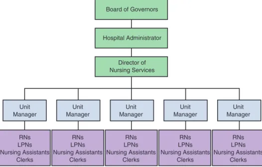 FIGURE 5.2  Decentralized (flat) organizational structure of nursing service.
