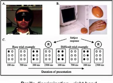 Figure 2.2 TOP: (A) Photograph of the blindfold used in the study.