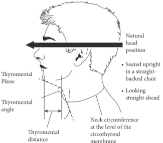Fig. 3.1  Profile of the head and neck region illustrating the following features: 