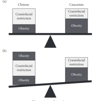 Fig. 3.3  Anatomical balance in OSA. The balance between the relative size of the  craniofacial bony compartment and degree of obesity is an important determinant  of upper airway obstruction