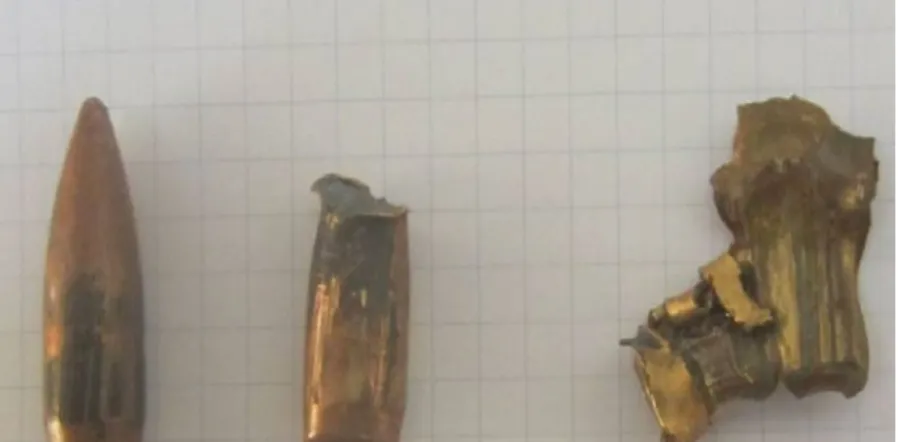 Fig. 8.2  A  7.62 × 39  mm AK-47 round and  fragments
