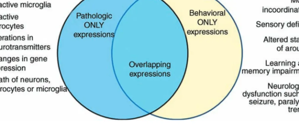FIGURE 1 Graphic representation of individual expressions of pathological and behavioral components of a complete neurotoxicity evaluation is shown