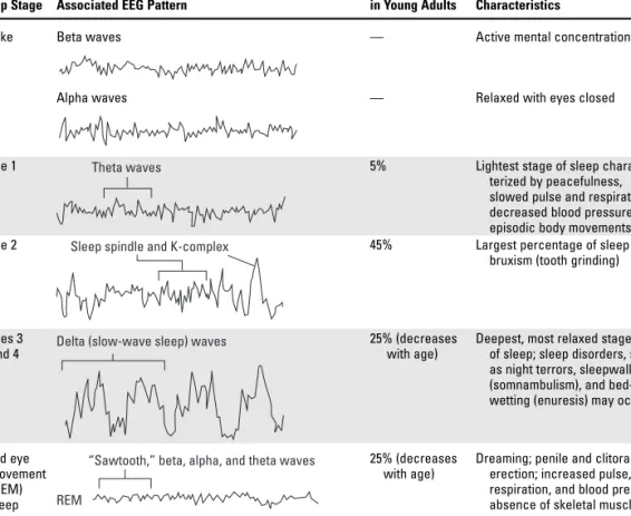 FIGURE 10-1 Sleep architecture in normal young adult. (Adapted from Wedding D. Behavior & Medicine
