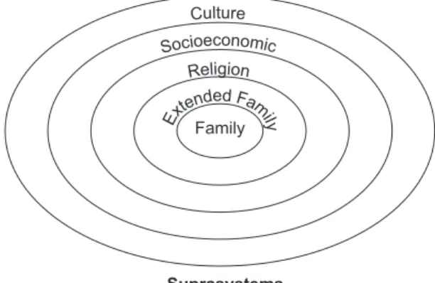 FIGURE 2.2  Larger Systems Impact the Family