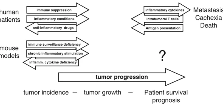 Fig. 1 The polarization of the immune response control cancer incidence and death. Chronic tissue damage and inflammation is not only associated with tumor incidence in human patients and mouse models but cytokines triggering inflammation are also predicto