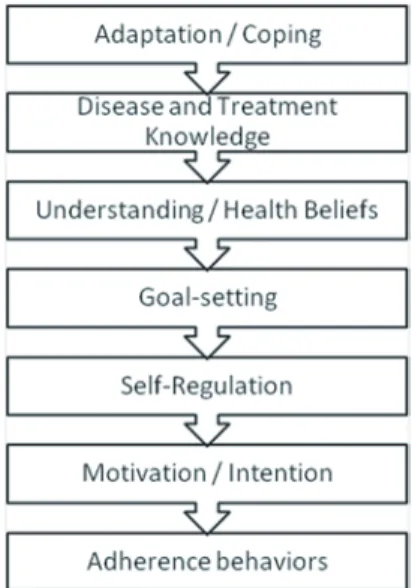 Fig. 2.1   Hypothetical model  of the process of  adapta-tion, from initial coping to  adherence