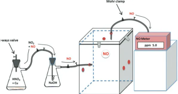 Fig. 3 Scheme of the device developed to subject pepper fruits to NO gas. NO 2  + NO generated by the reaction  of HNO 3  with solid copper (wires) go into a second reaction flask were NO 2  is trapped by NaOH