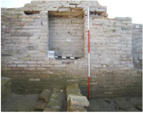 Figure 7: A Well Preserved and Completed Prey Niche 