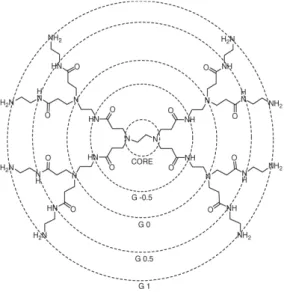 Figure 1. 2 – D graph of dendrimer G. 