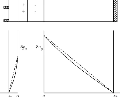 Figure 4.10 Excess minority carrier concentrations for a solar cell having dimensions x s and x b that are small compared to the carrier diffusion lengths