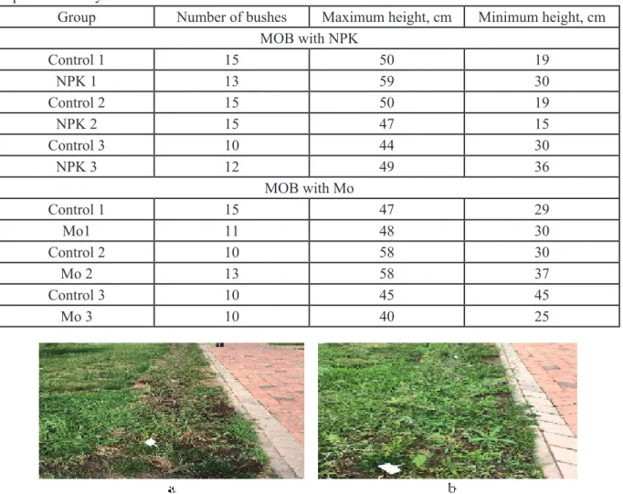 Table 3 – Data on the use of drugs MOB with NPK, MOB with Mo on hedge (Spiraea japonica) 45  experimental day