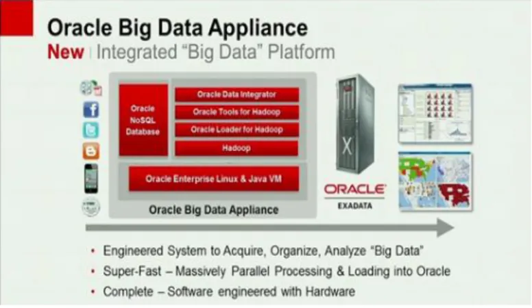 Figure 1. Example of data storage in Oracle Big Data Appliance [7] 