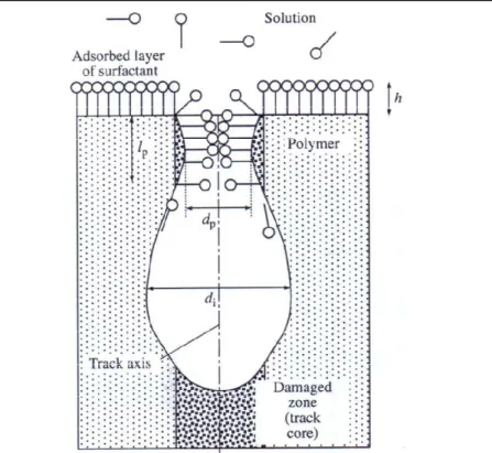 Figure 6 – Schematic diagram illustrating the initial stage of etching of heavy ion tracks   in a polymer in the presence of a surfactant 
