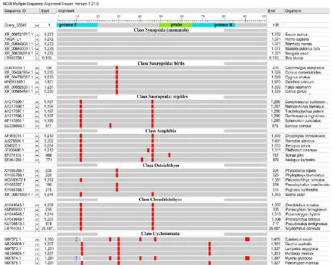 Figure 1 – Results of BLAST analysis of the 18S rRNA gene region for some vertebrate species