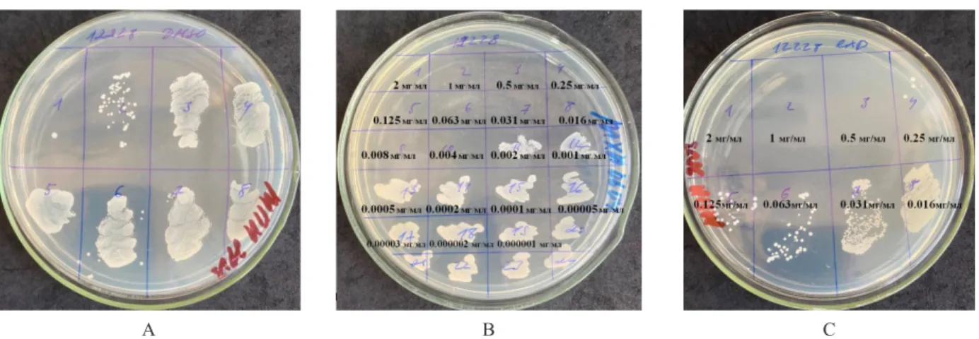 Figure 2 – Antimicrobial activity of studied groups against Staphylococcus epidermidis ATCC 6538-P strain