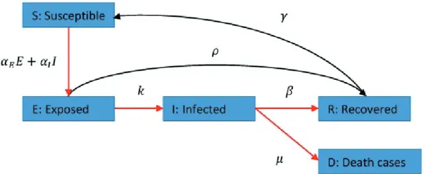Figure 2: Scheme of mathematical model SEIR-D