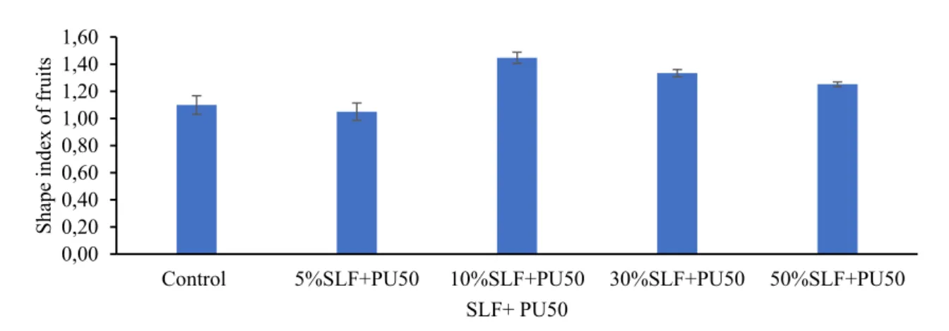 Figure 13 – Effect of mixed fertilizer on the fresh weight of tomato fruits