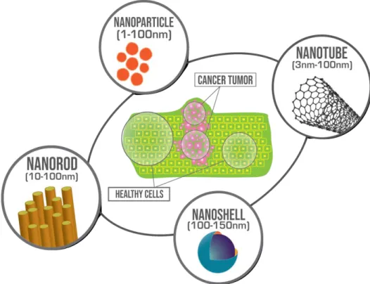 Figure 1. Representation of different types of nanomaterials varied by a shape that can be used for  biomedical applications and cancer tumor treatment