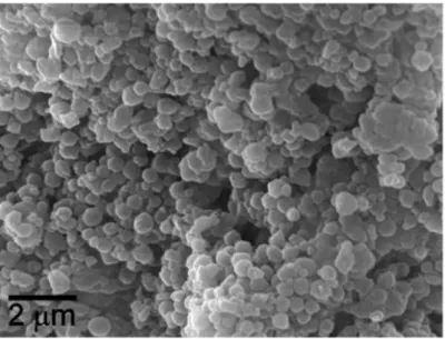 Figure  13.  A  SEM  image  morphology  of  polymer-coated  iron  oxide  superparamagnetic  nanocomposite [Reproduced from [130], with permission from Elsevier, Copyright 2008]